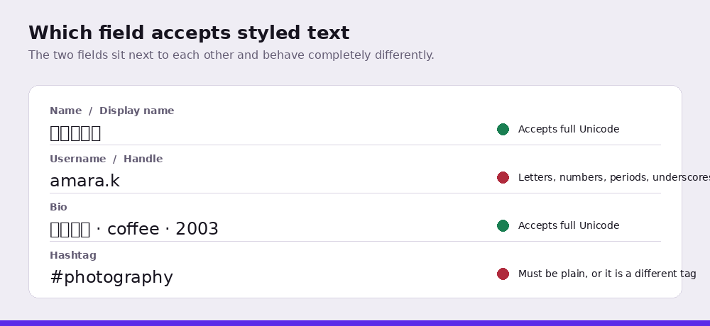 Which field accepts styled text, and which rejects it.